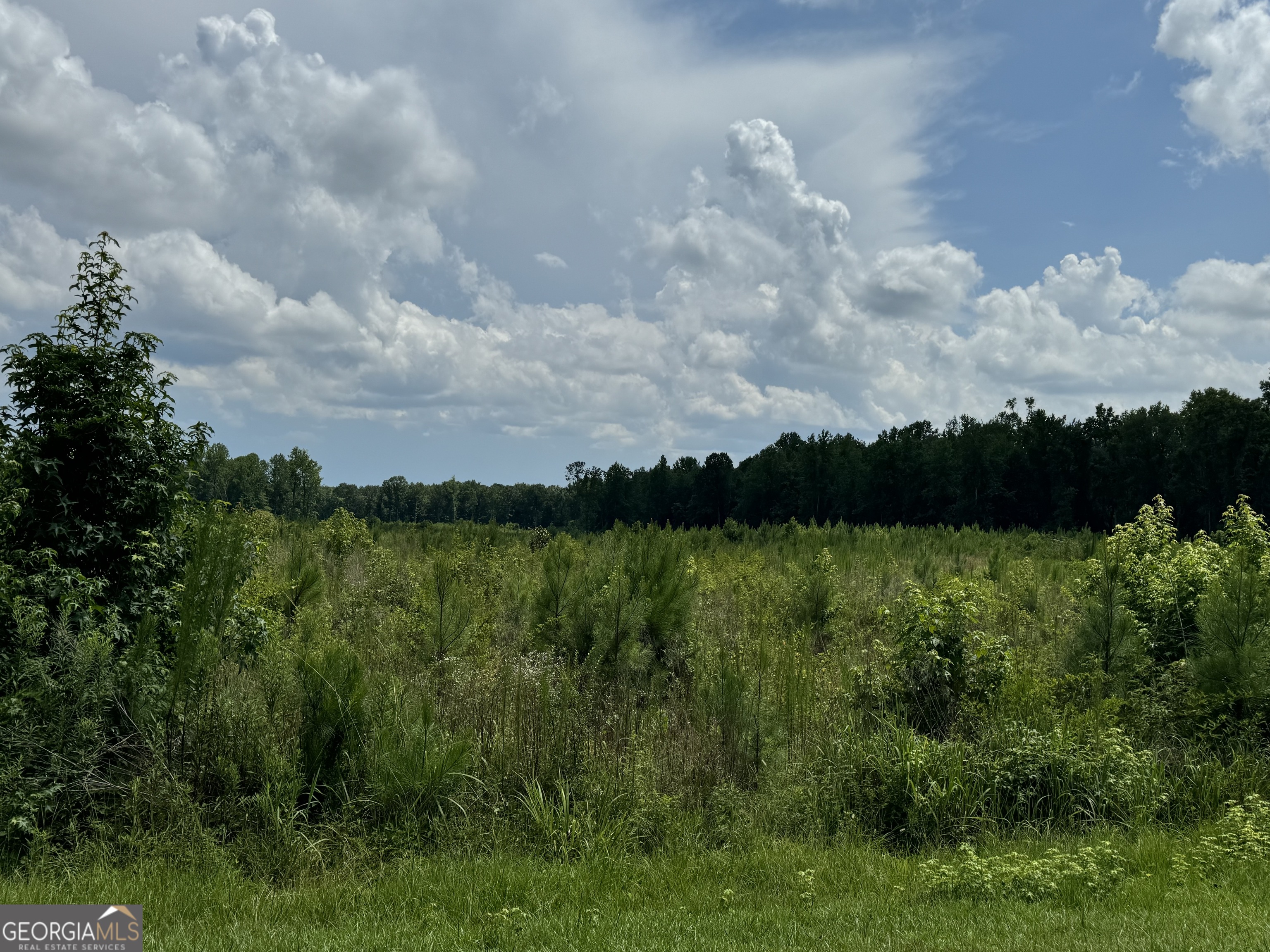3854 US Hwy 19 — photo