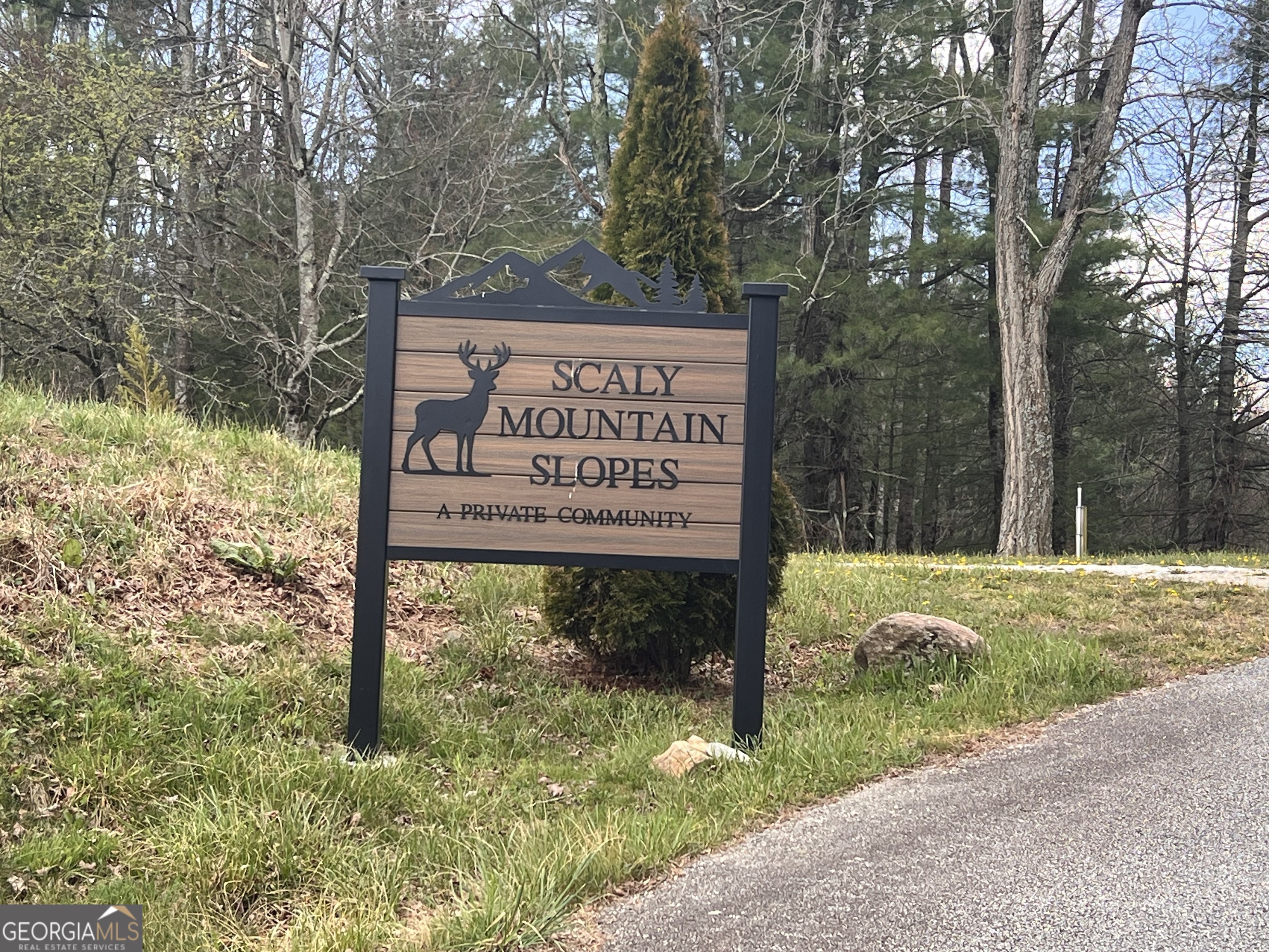 162 Dryman Ridge Road, Scaly Mountain, NC 28775 — photo 2