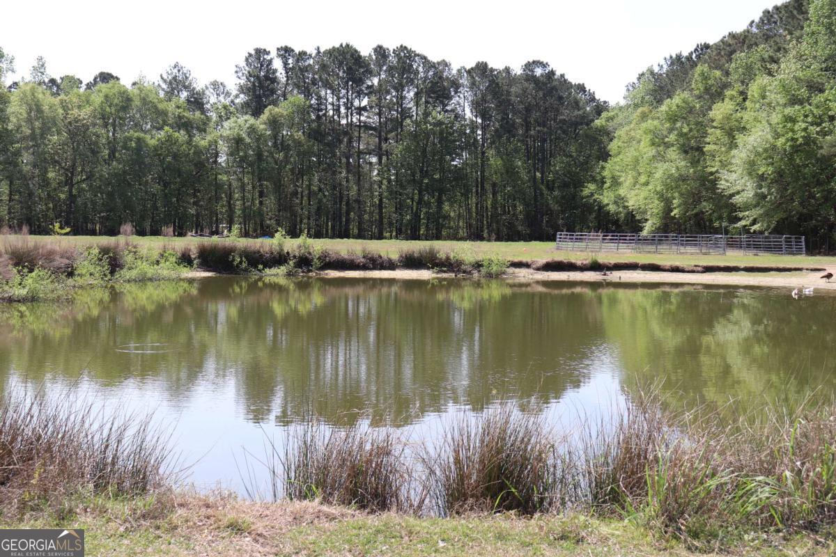 1650 Ebenezer Road, Rincon, GA 31326 — photo 3