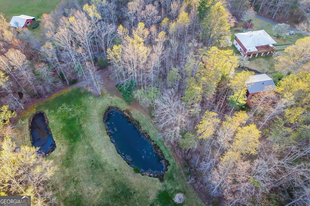 2669 Weaver Creek Road, Blue Ridge, GA 30513 — photo 3