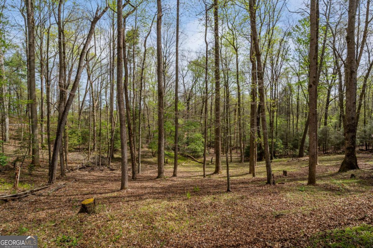 159 Pack Creek Road, Blue Ridge GA 30513 — photo 3