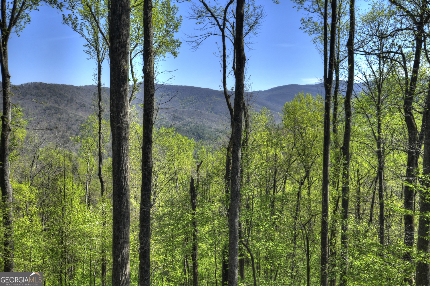 1831 Walnut RDG, Ellijay, GA 30536 — photo 3