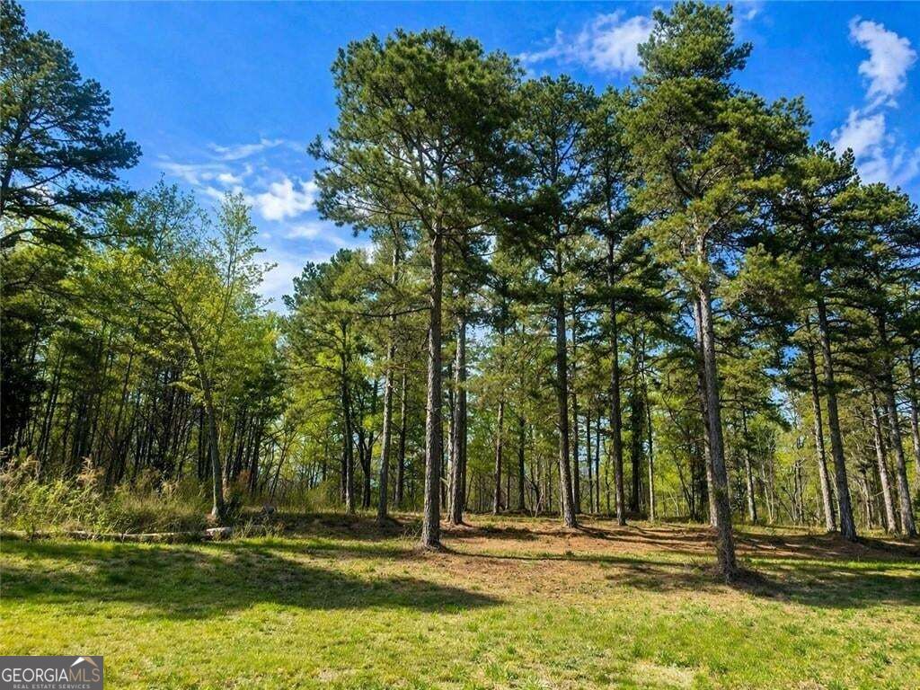 575 Hardy Road, Martin, GA 30557 — photo 2