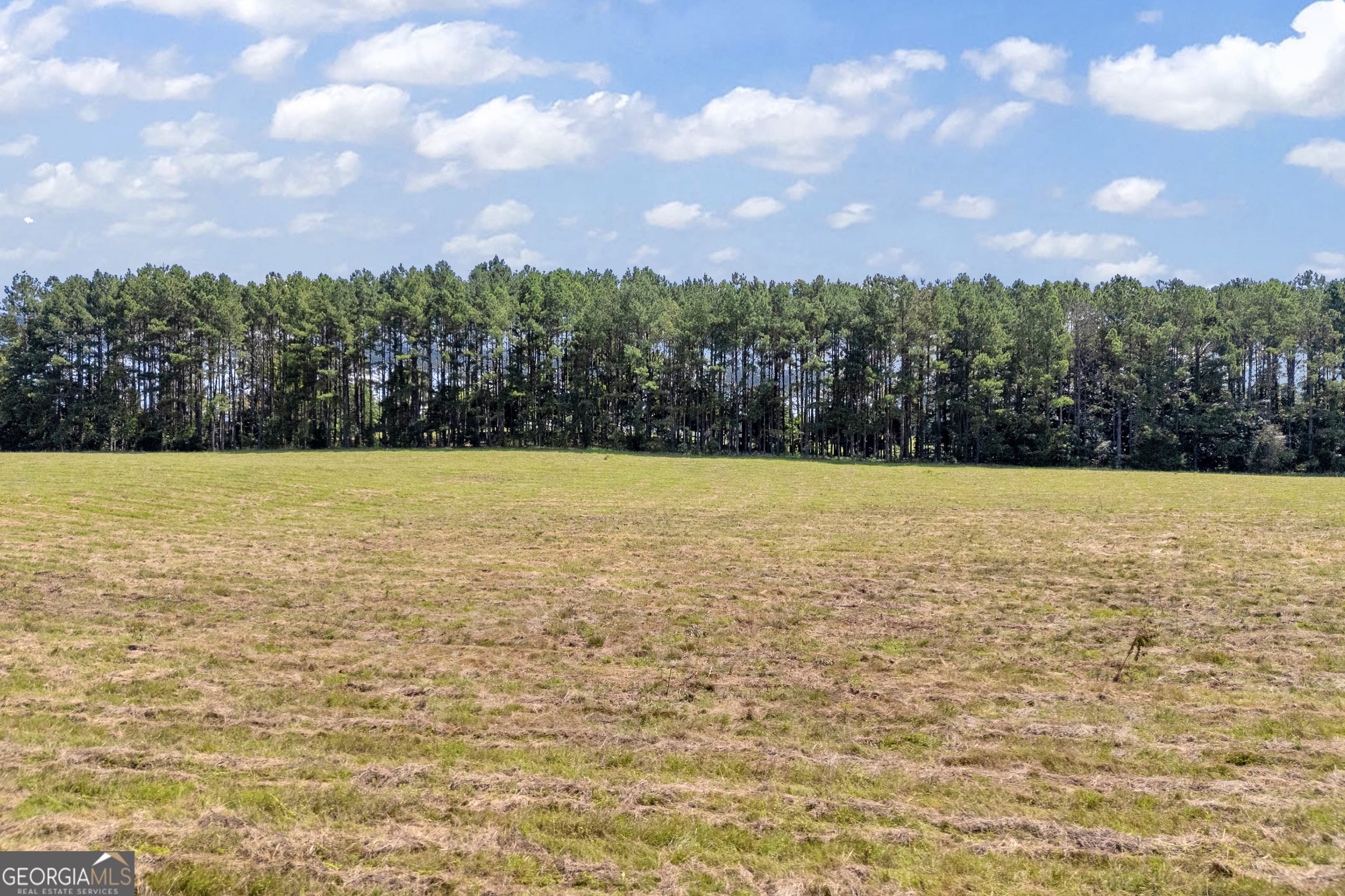 3248 Metasville Road, Washington, GA 30673 — photo 2