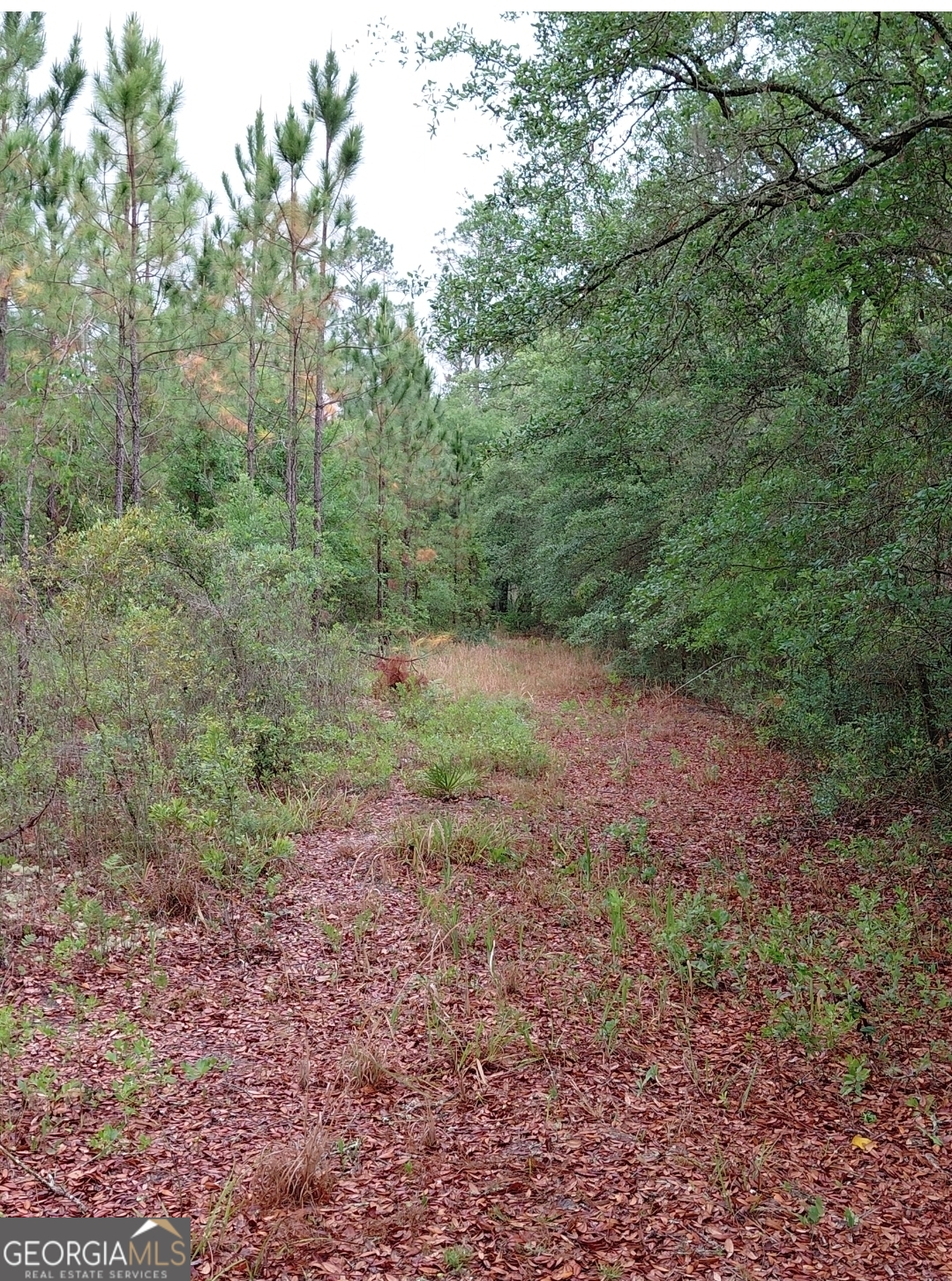 779 Ralph Davis Road, Folkston GA 31537 — photo 2