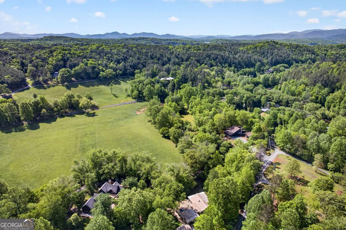 401 Mountain Rivers Road, Mineral Bluff, GA 30559 — photo 2