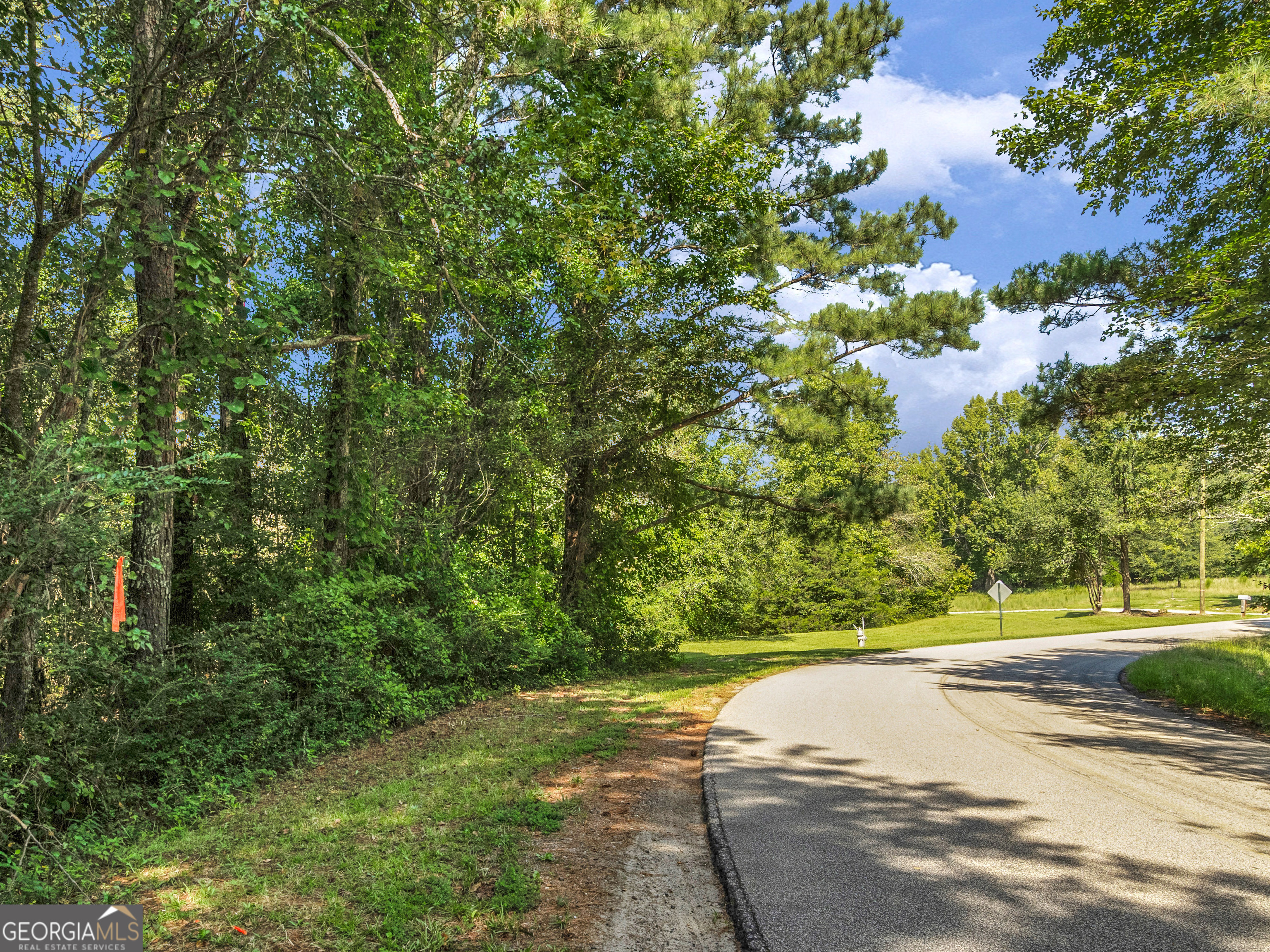 129 Little Road, Hampton, GA 30228 — photo 3
