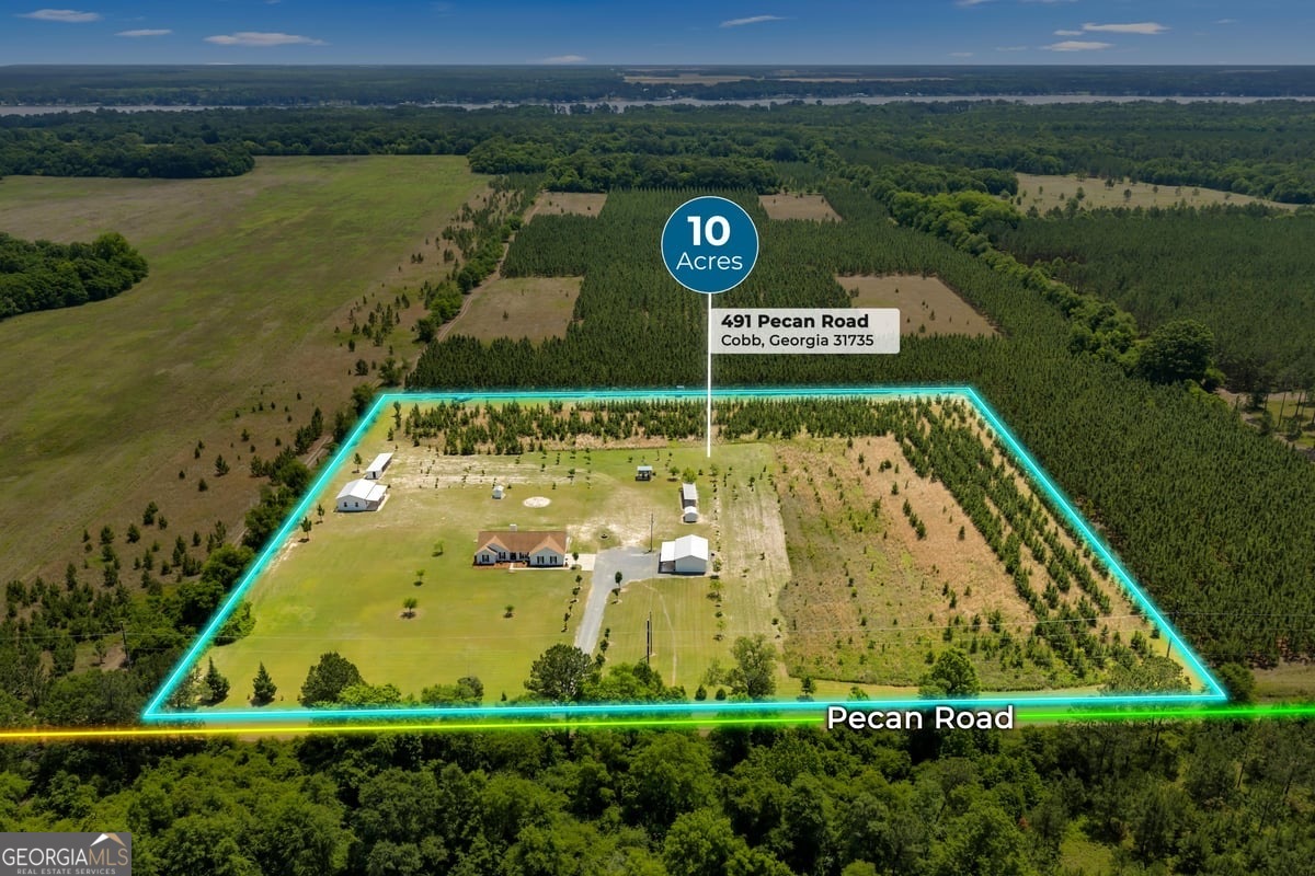 491 Pecan Road, Cobb, GA 31735 — photo 2