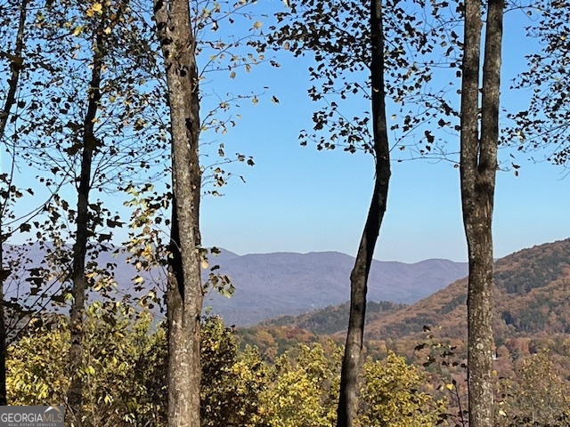 1189 Walnut RDG, Ellijay, GA 30536