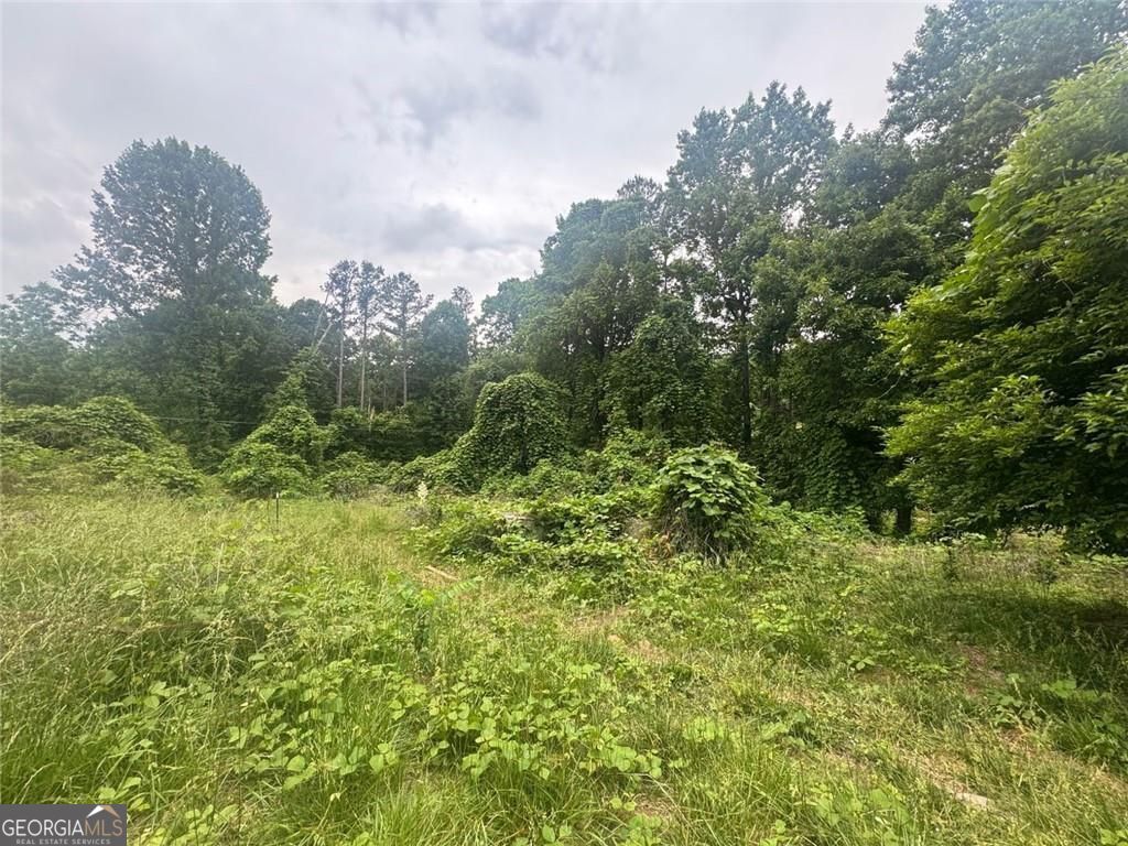 1460 Sam Nelson Road, Canton, GA 30114 — photo 3