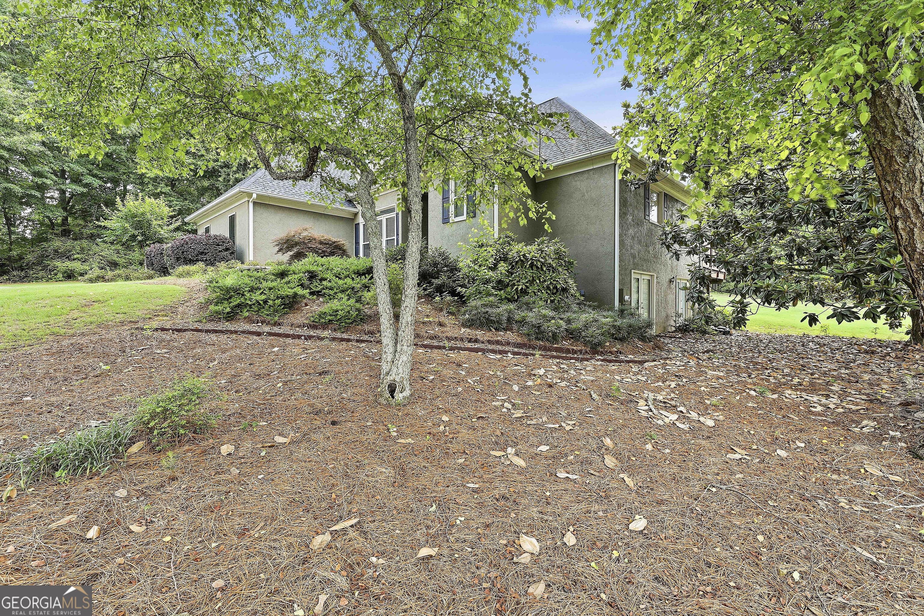 115 Strandhill Road, Tyrone, GA 30290 — photo 2