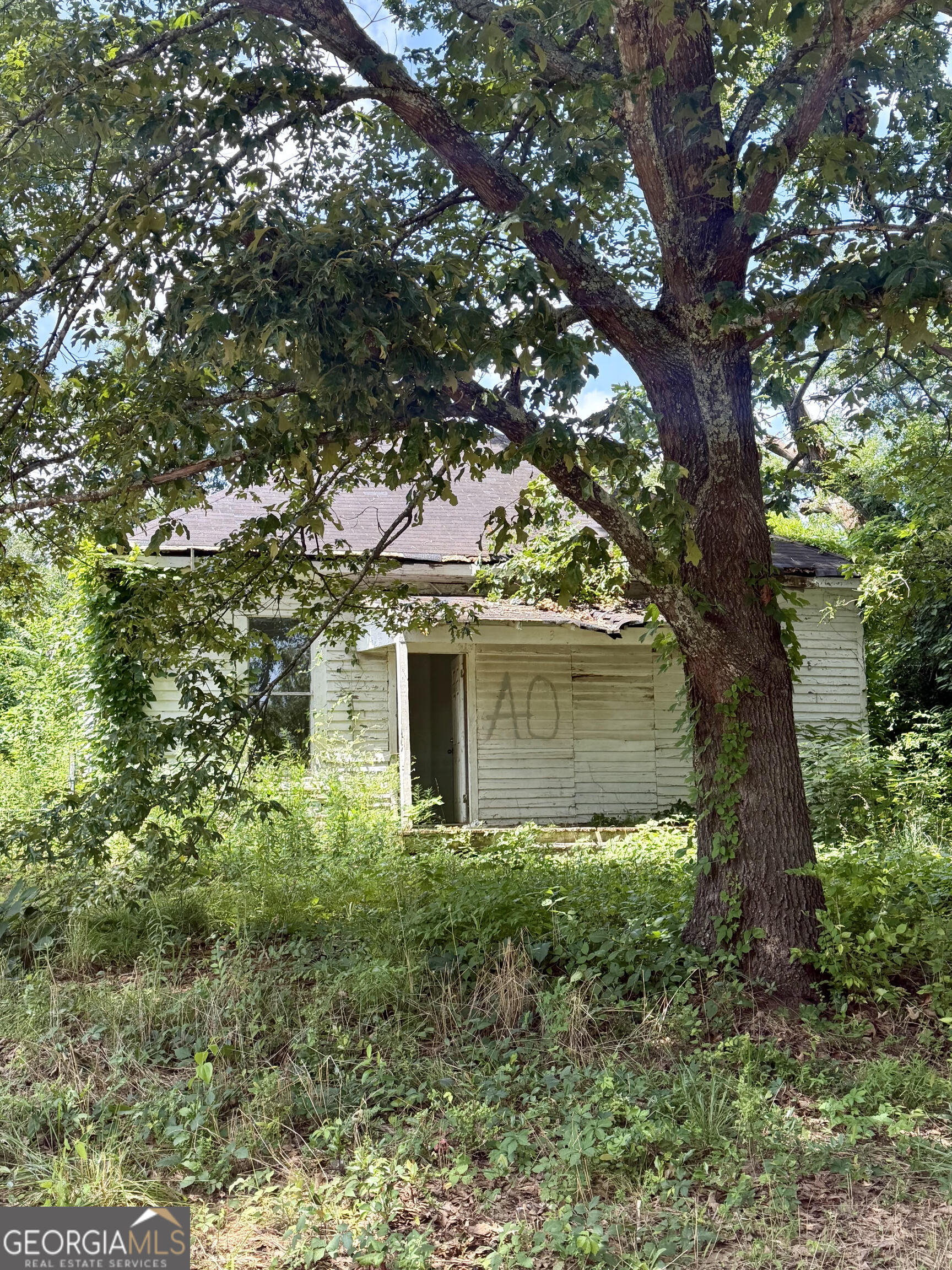 113 Elm St — photo