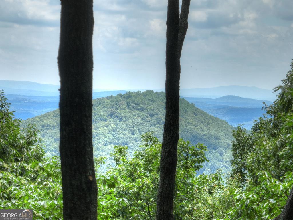 388 Walnut RDG, Ellijay, GA 30536 — photo 2