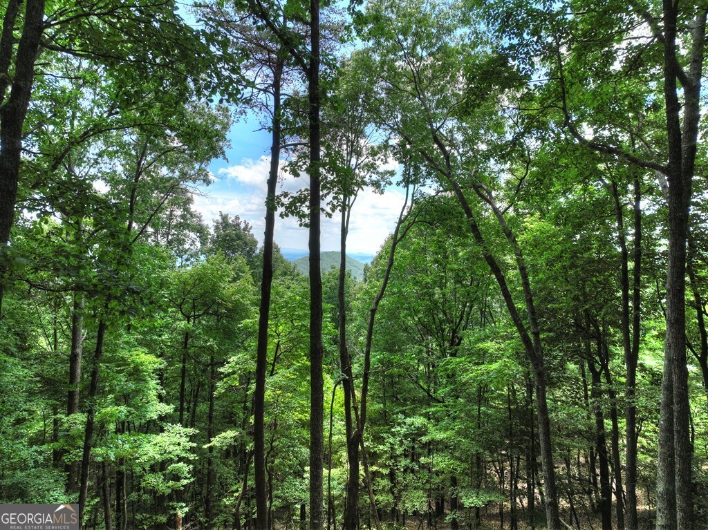 388 Walnut RDG, Ellijay, GA 30536 — photo 3