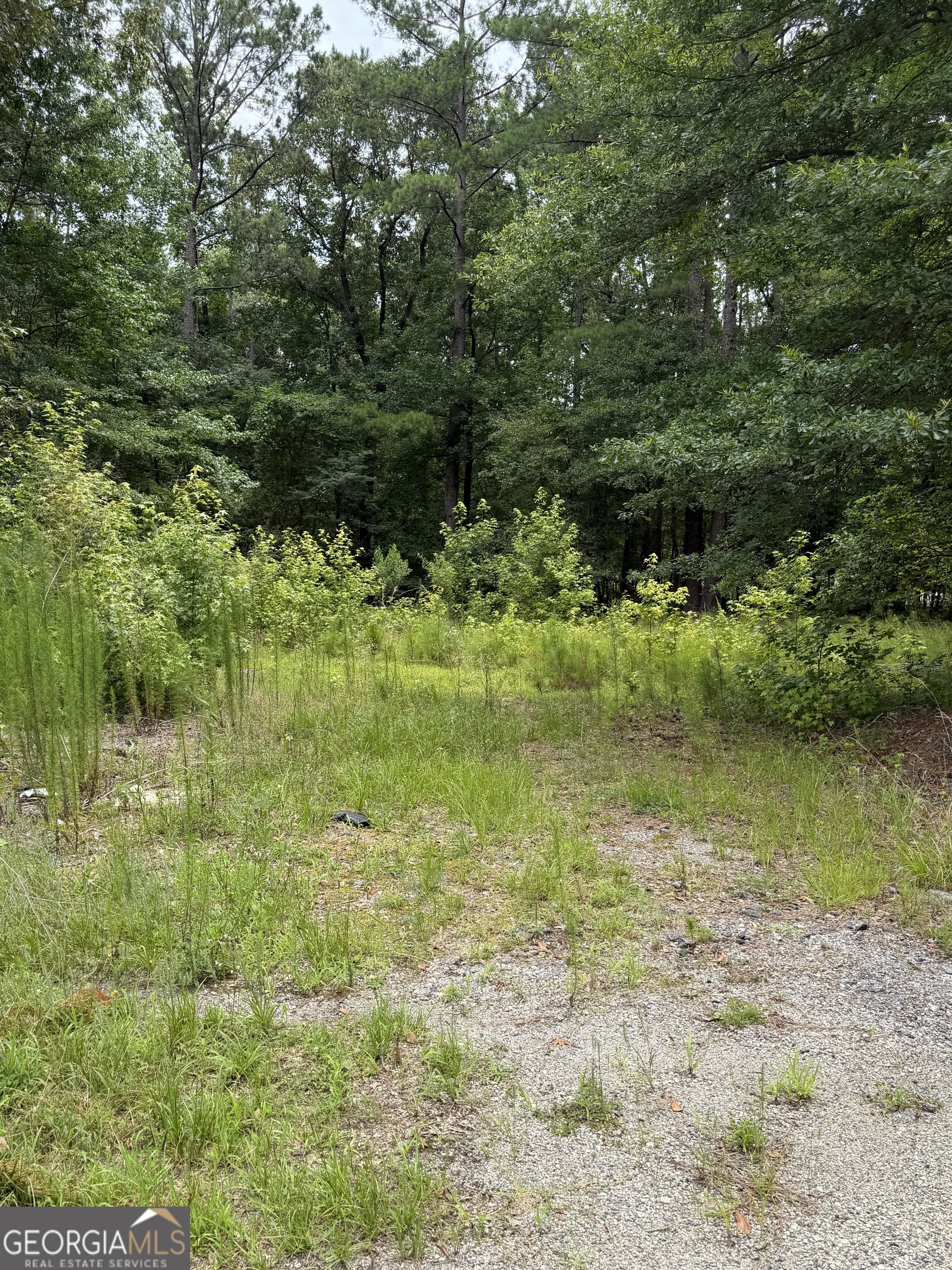 1930 Locust Grove Road, Griffin, GA 30223 — photo 2