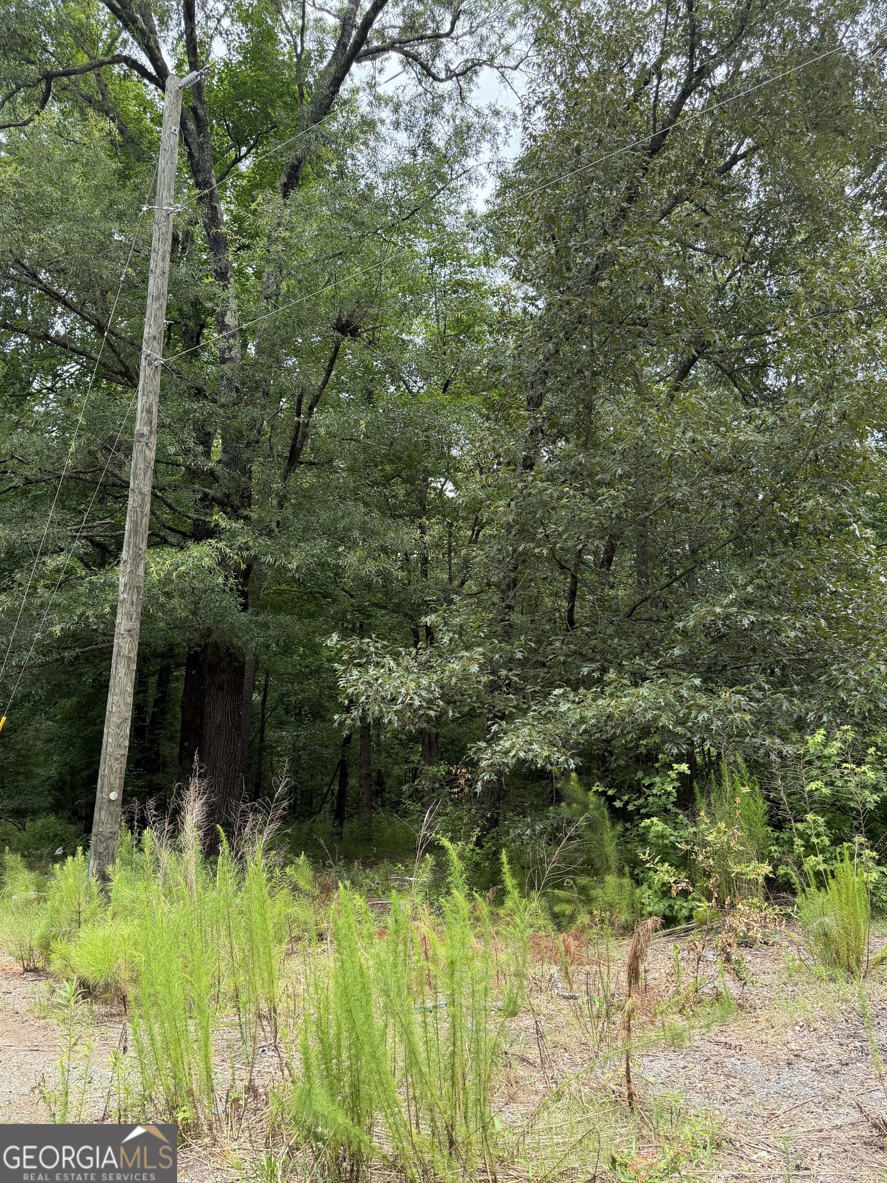 1930 Locust Grove Road, Griffin, GA 30223 — photo 3