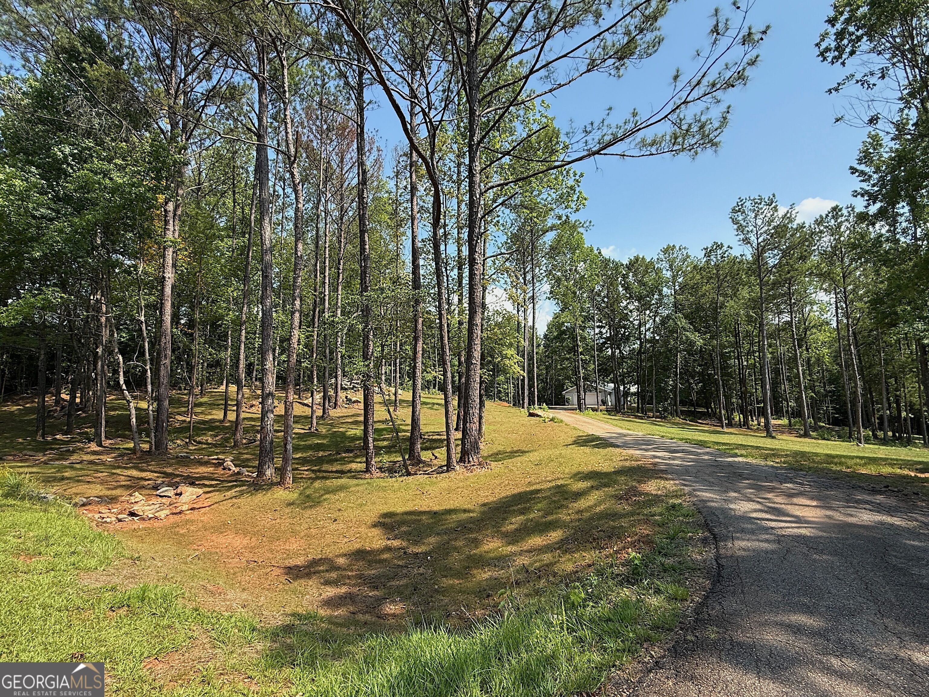 245 Lake Talbot Road, Box Springs, GA 31801 — photo 2