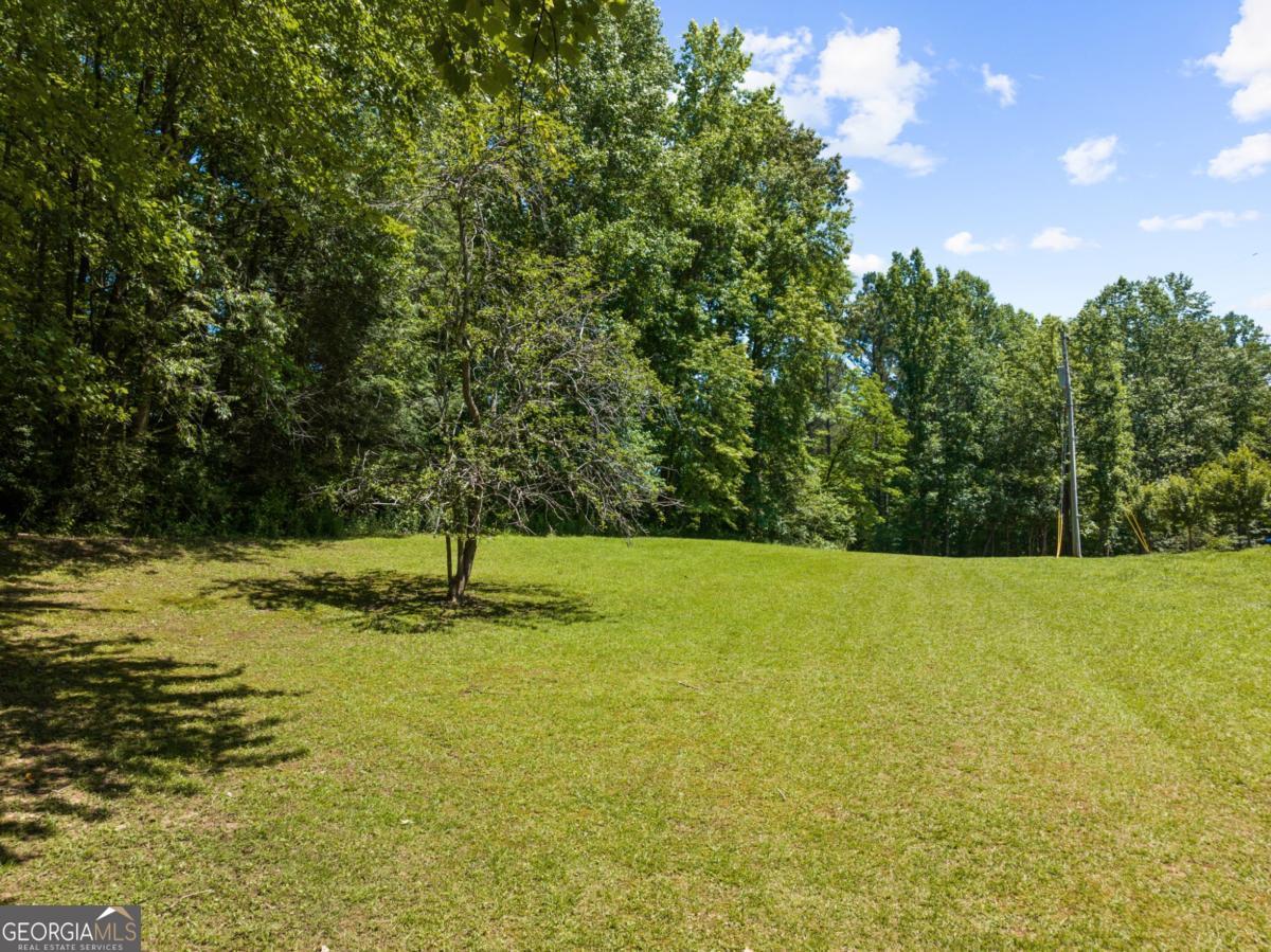 51 Haddock Drive, Blue Ridge, GA 30513 — photo 3