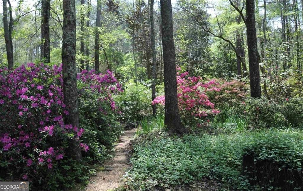 385 Vaughn Road, Newnan, GA 30265 — photo 2