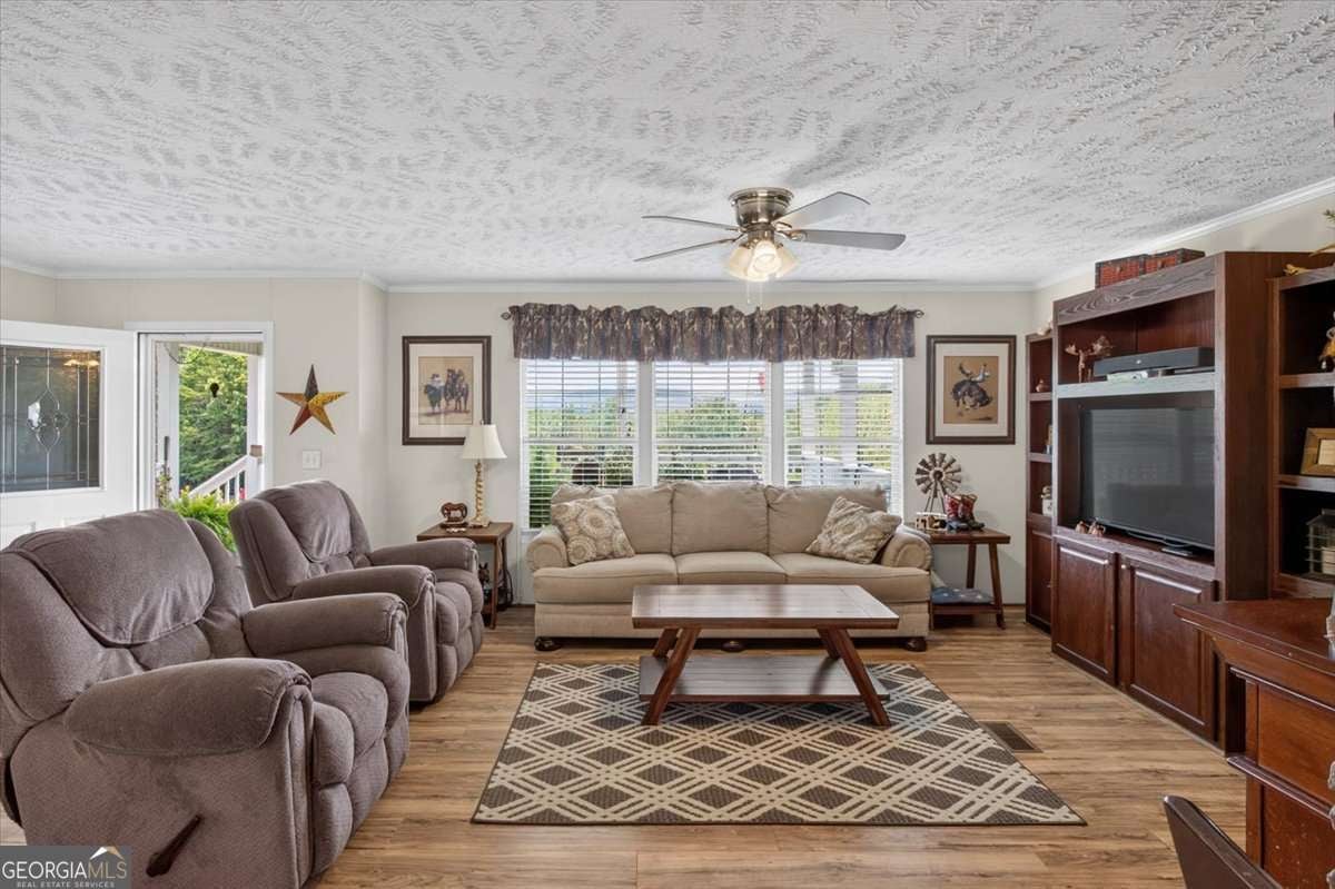 290 Knucklesville Road, Rydal GA 30171 — photo 3