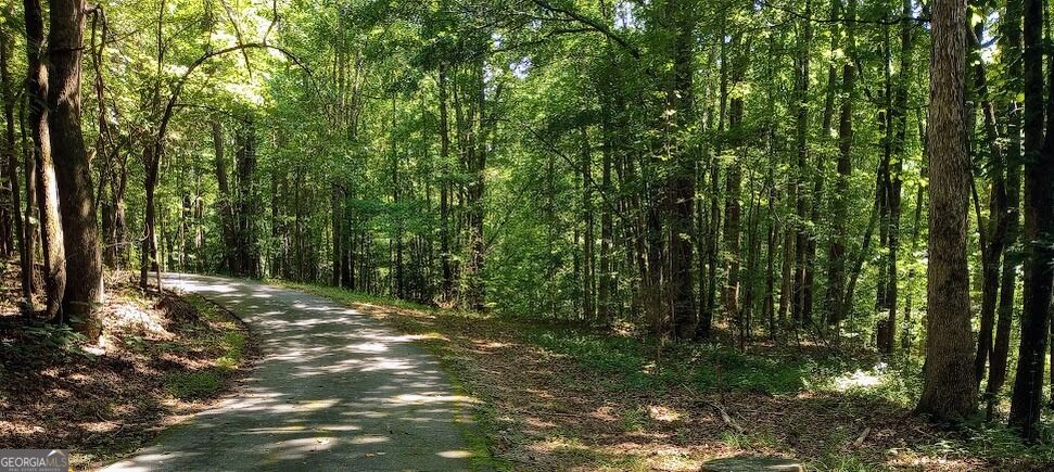 400 Herrell Road, Villa Rica, GA 30180 — photo 3