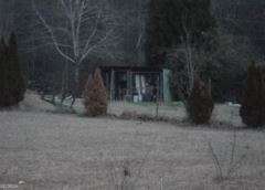443 Bushmill Road, Bremen, GA 30110 — photo 2