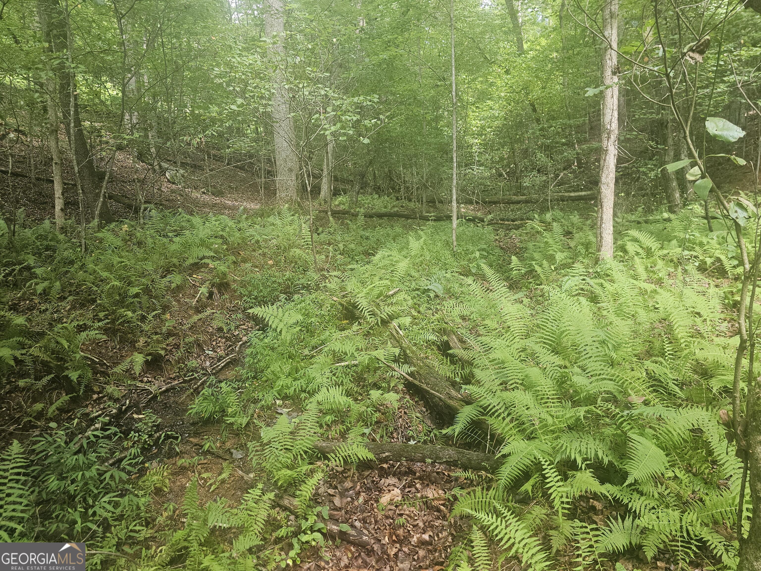 0 Watkins Road, Blue Ridge, GA 30513 — photo 3