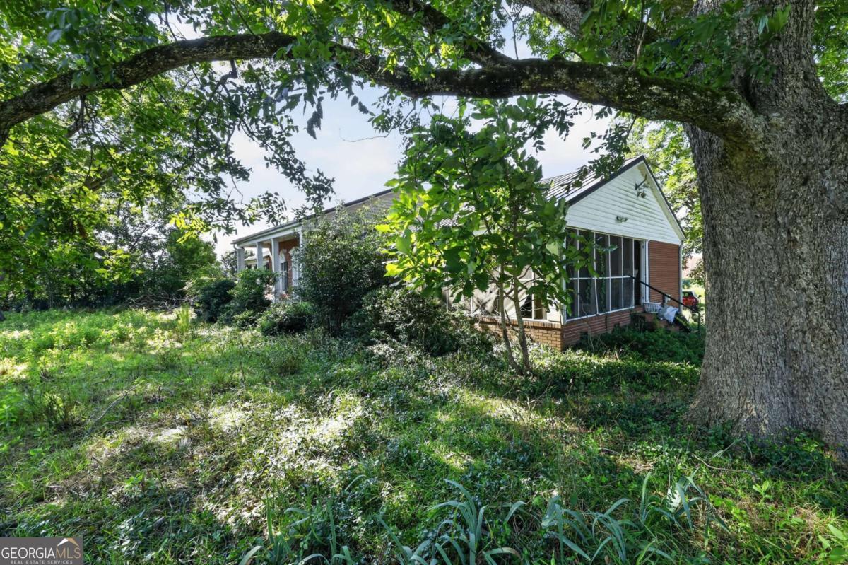 247 Parks Road, Butler, GA 31006 — photo 3