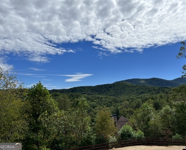 108 Skydancer Ridge, Blue Ridge GA 30513 — photo 2