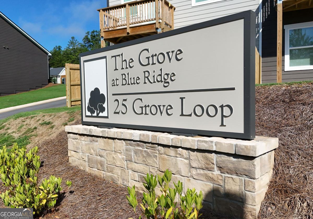 25 Grove Loop #51, Blue Ridge, GA 30513 — photo 2