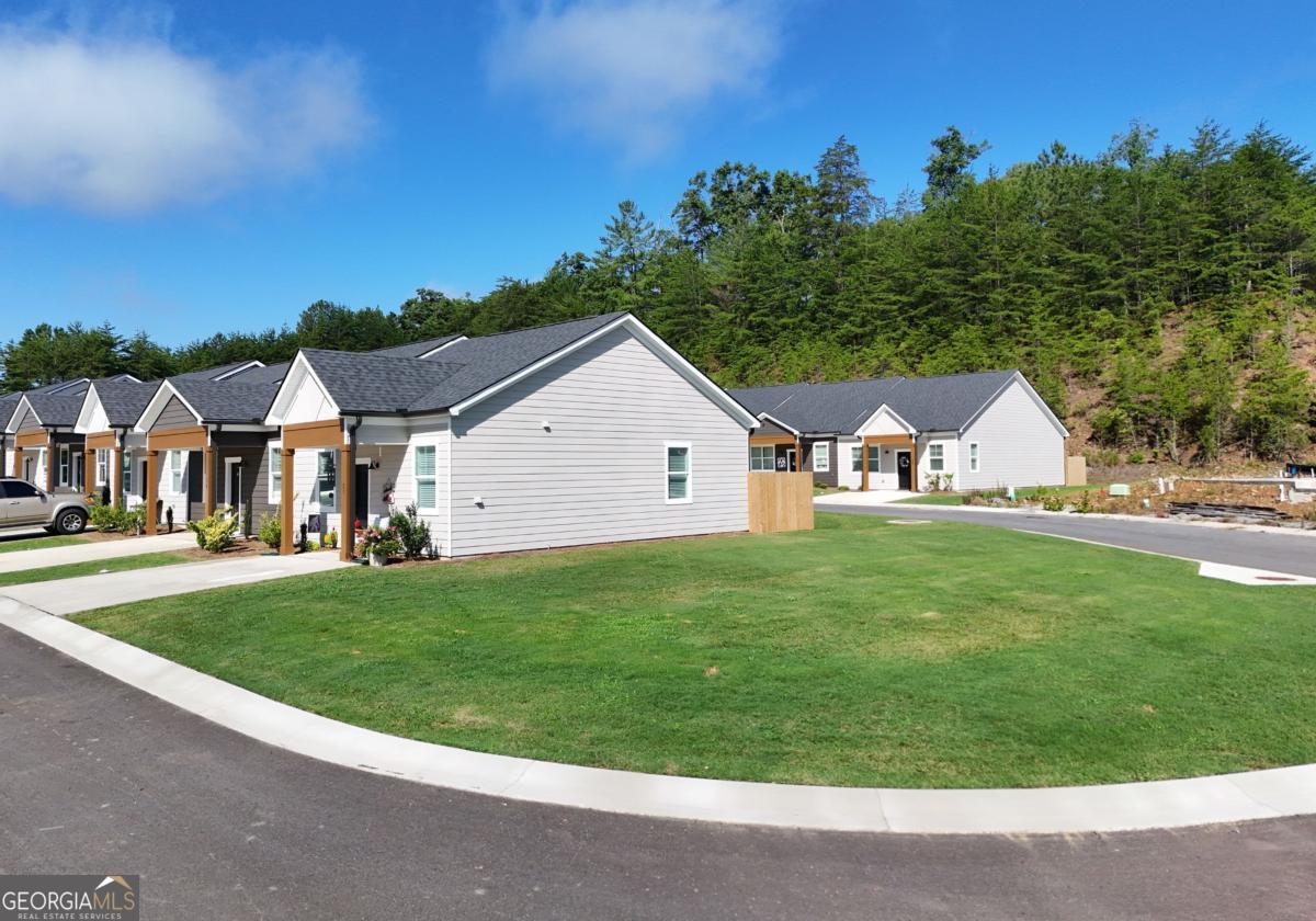 25 Grove Loop #51, Blue Ridge, GA 30513 — photo 3