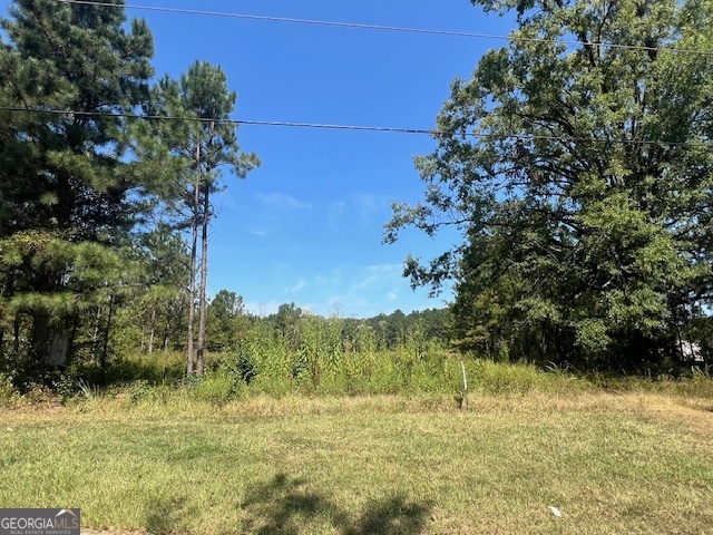 0 County Farm Road, Zebulon, GA 30295 — photo 2