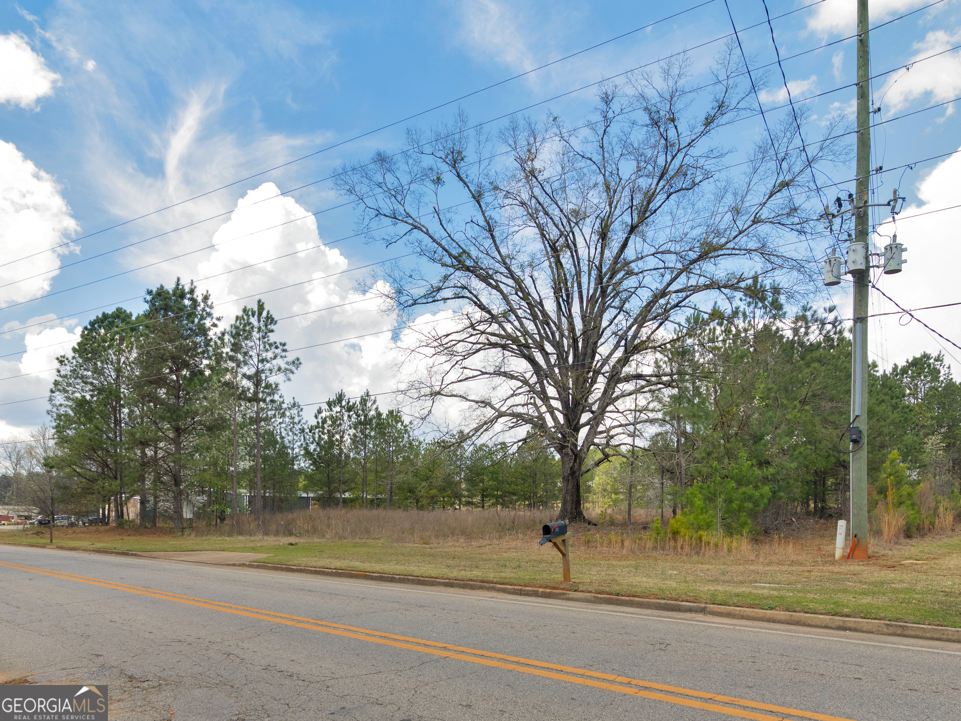0 County Farm Road, Zebulon, GA 30295 — photo 3