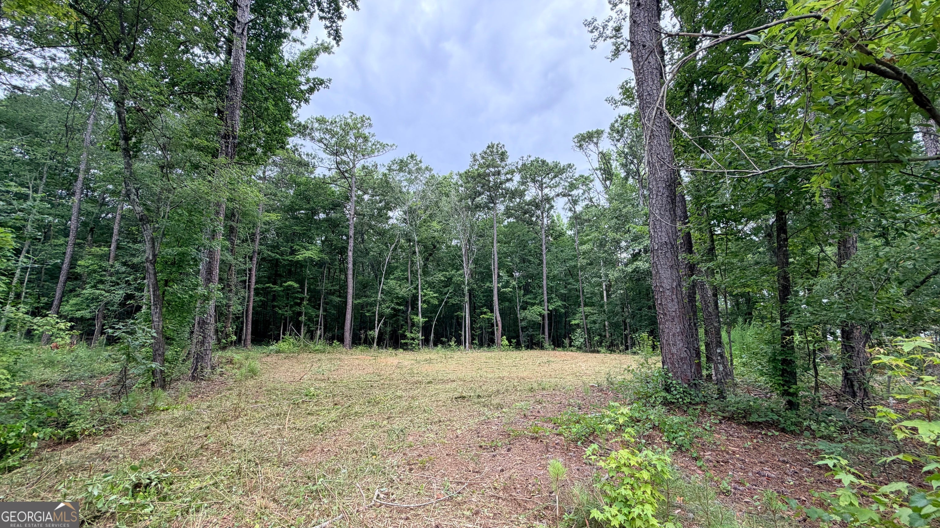 180 Coffey Rd 15 — photo