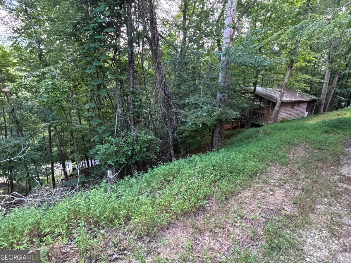 1163 Tipton Springs Rd — photo