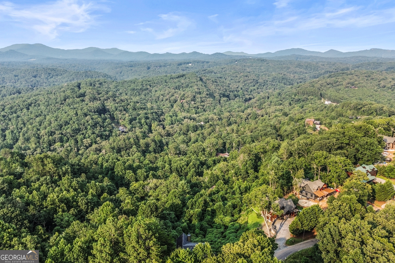 231 Kyle Road, Blue Ridge GA 30513 — photo 3