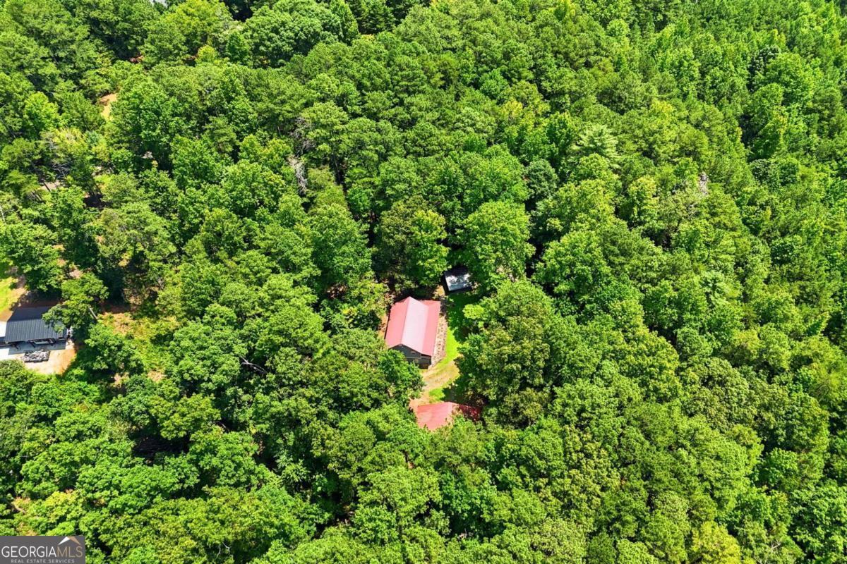 1525 Sperin Road, Ball Ground, GA 30107 — photo 2