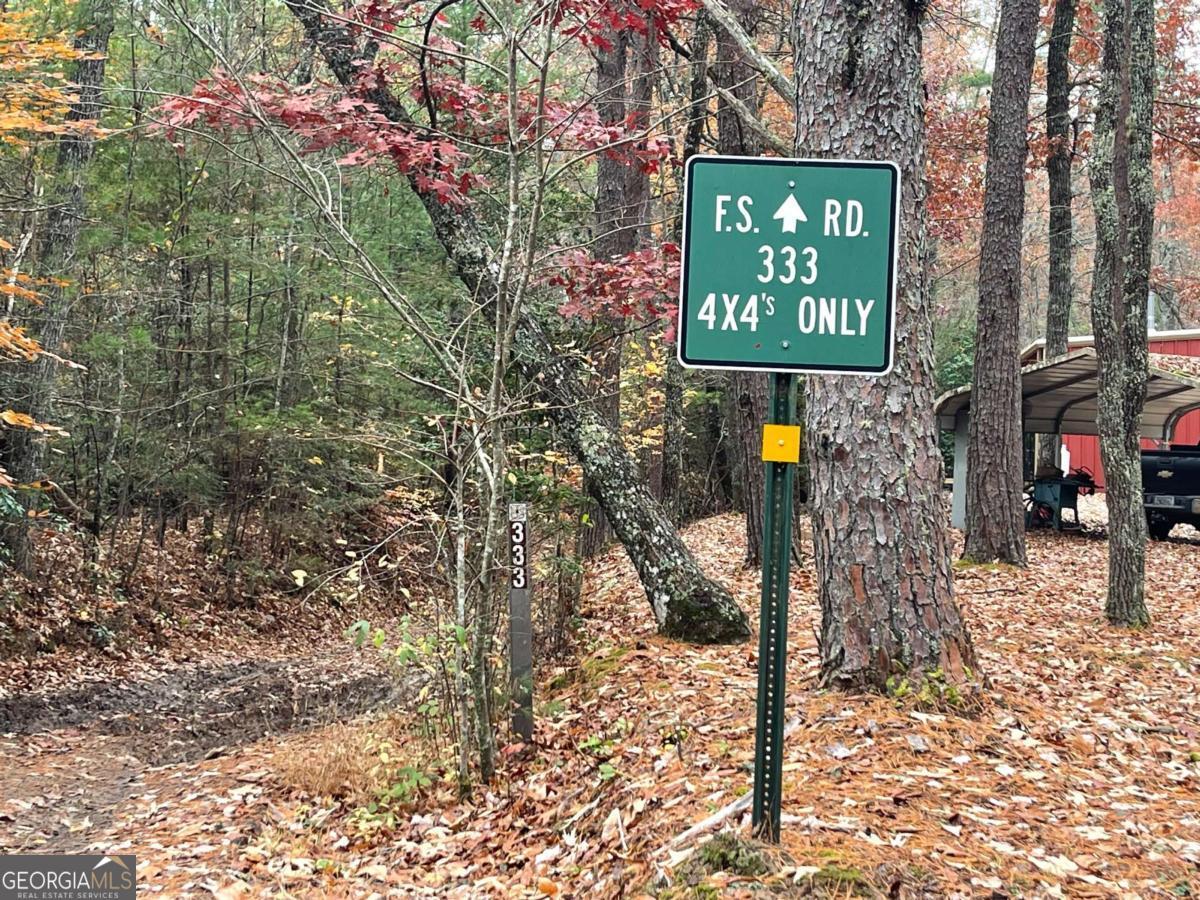 19 Ladybug Lane, Blue Ridge, GA 30513 — photo 3