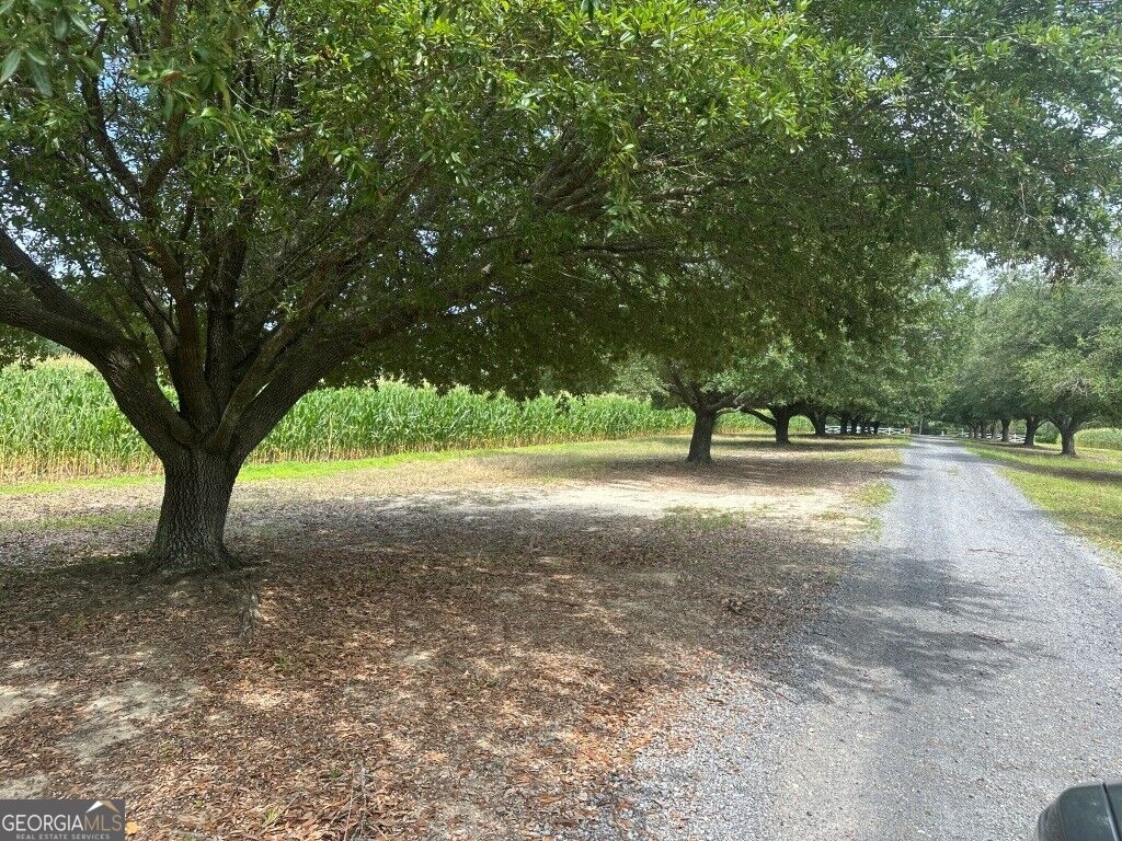 1808 Wire Road, Norway, SC 29113 — photo 2