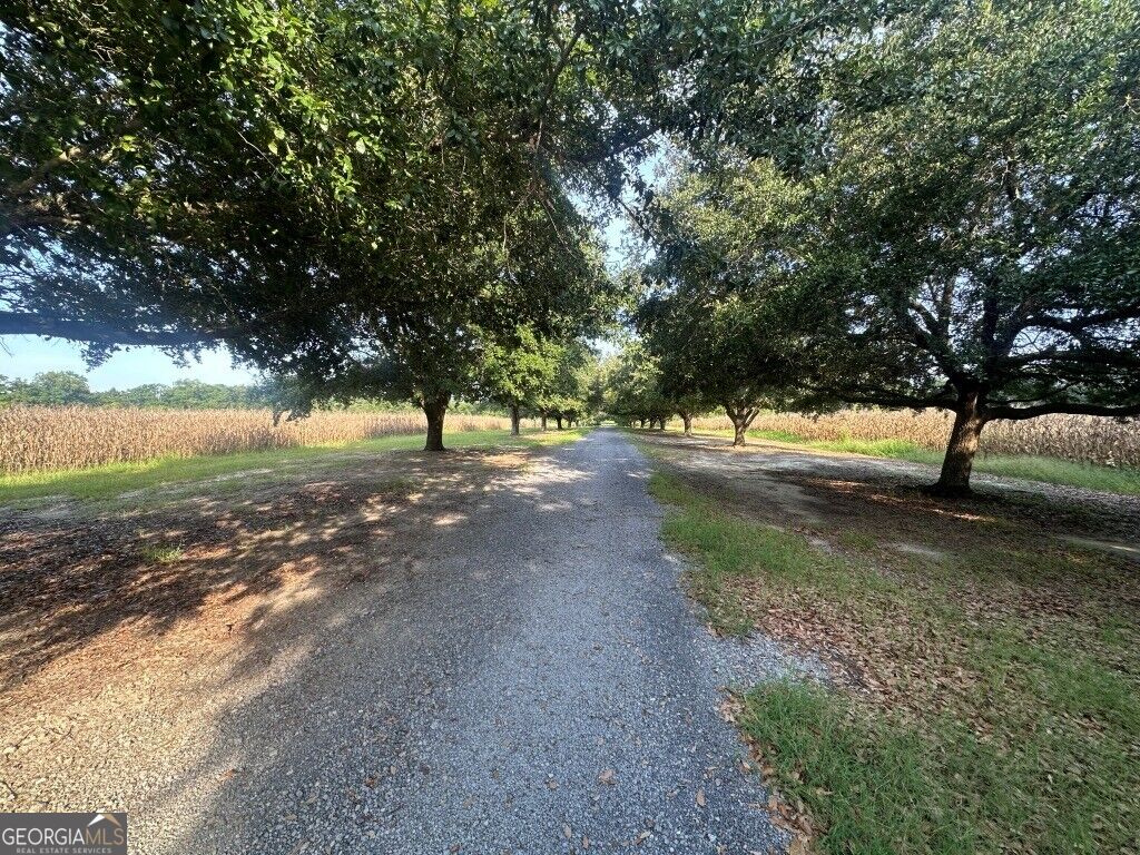 1808 Wire Road, Norway, SC 29113 — photo 3