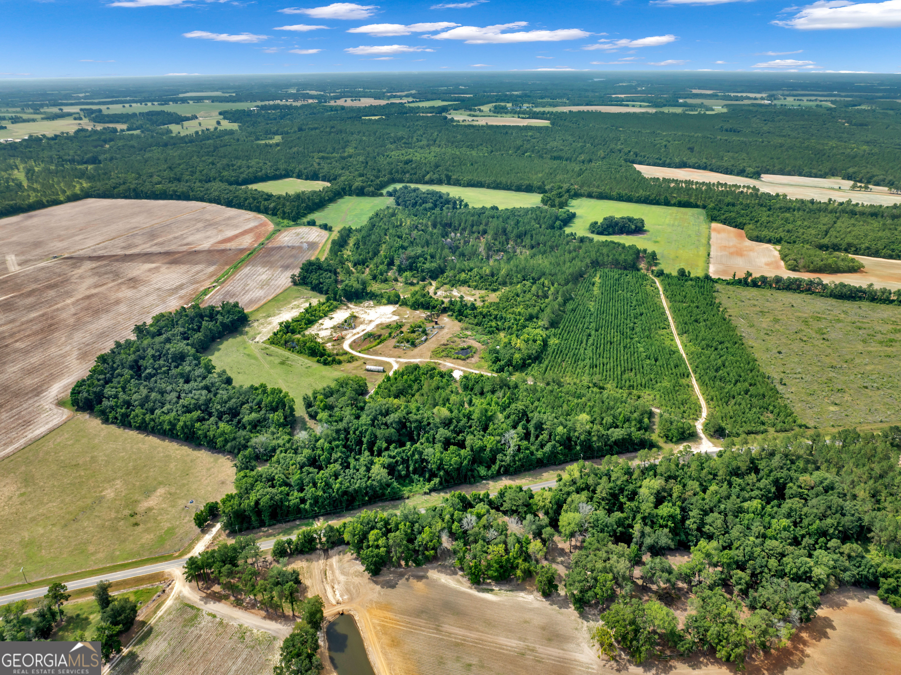 0 Harrell Road, Whigham, GA 39897 — photo 3