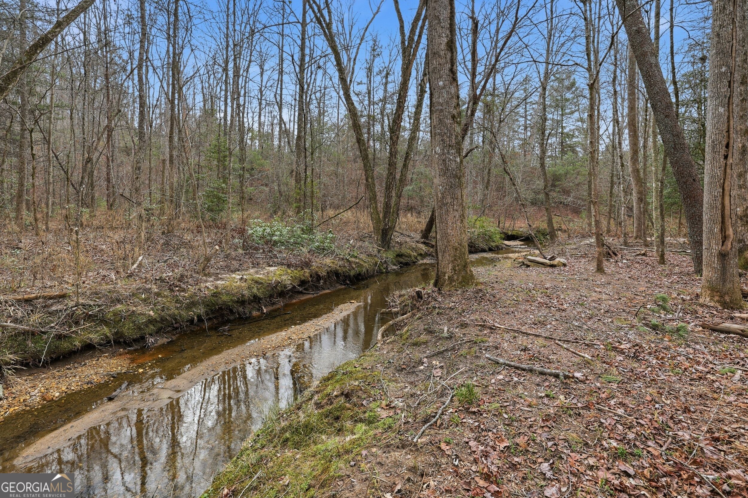 491 Jim Carter Road, Clarkesville, GA 30523 — photo 3