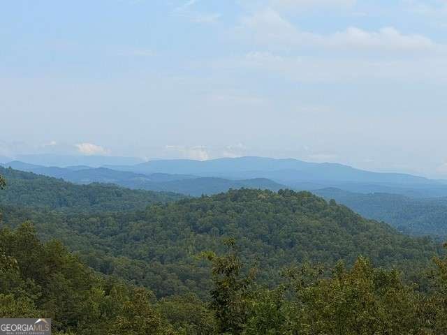 982 Raccoon RDG, Ranger, GA 30734 — photo 3