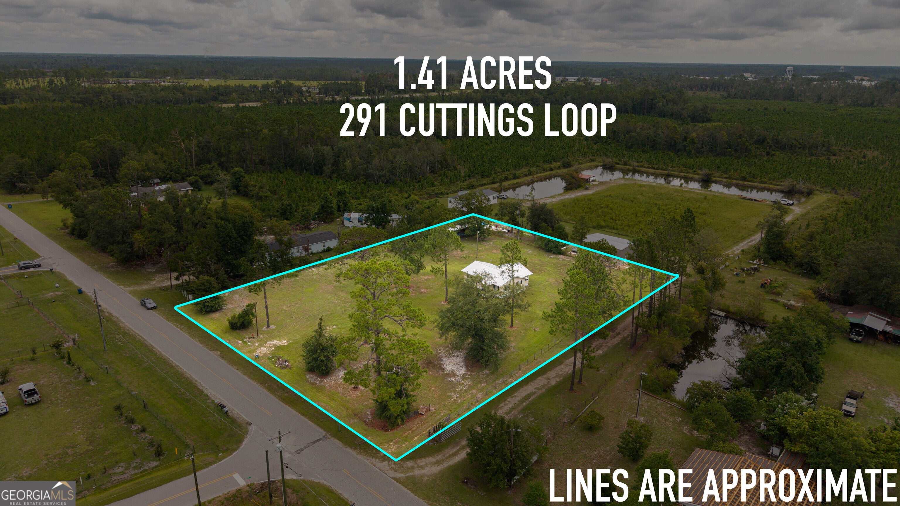 291 Cuttings Loop Road, Homerville, GA 31634 — photo 3