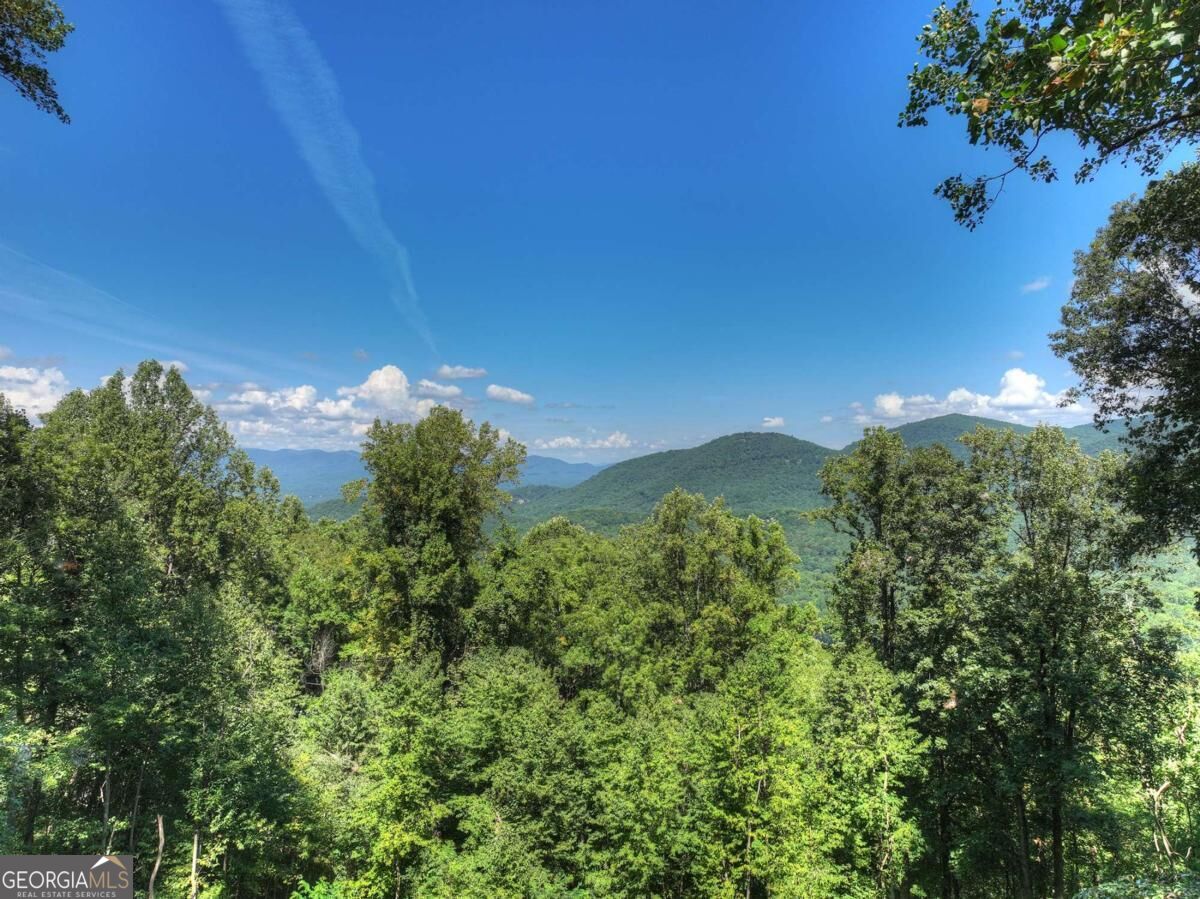 917 Walnut RDG, Ellijay, GA 30536 — photo 2