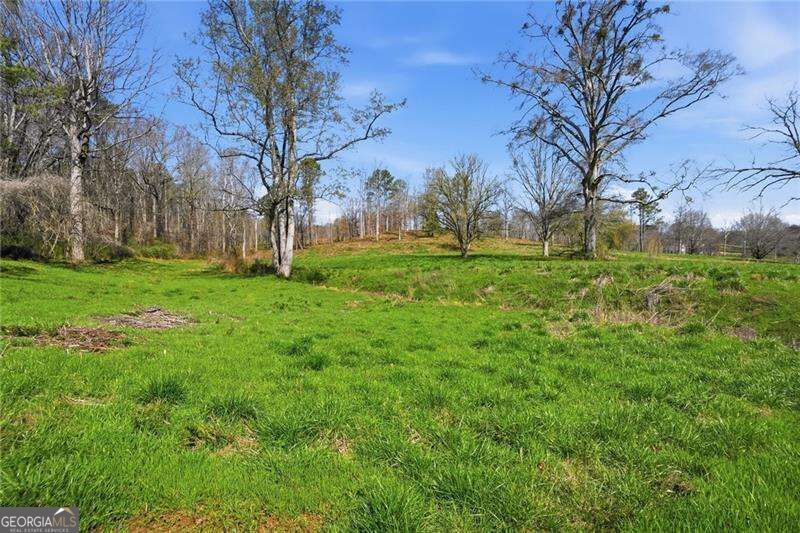 2201 Long Road, Ball Ground, GA 30107 — photo 3