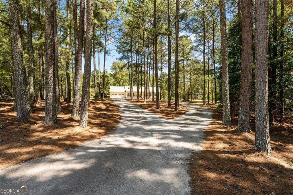 51 Moon Road, Waco, GA 30182 — photo 2