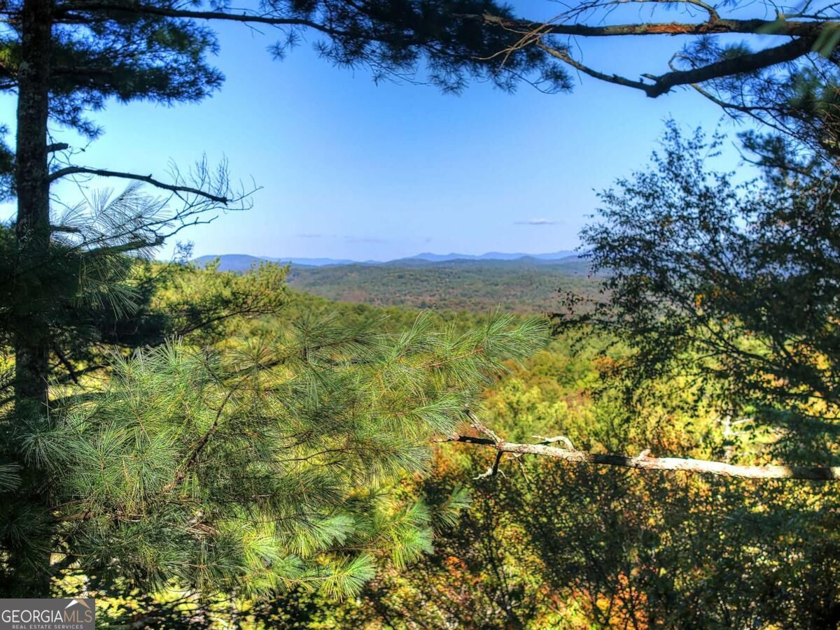 LT 123 Bell Camp Ridge Rd, Blue Ridge, GA 30513 — photo 3