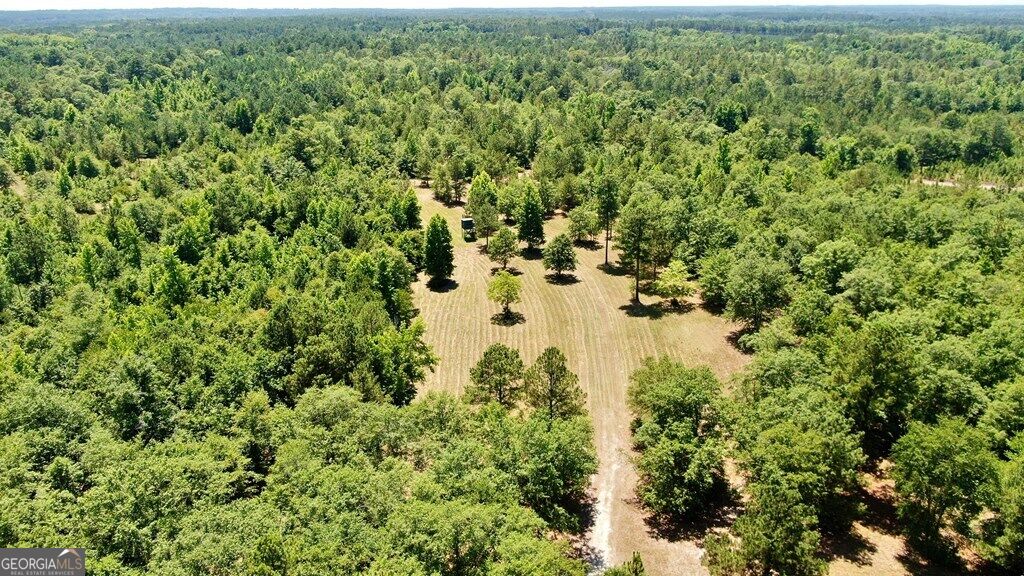 241 Foskey Cemetary Road, Adrian, GA 31002 — photo 3