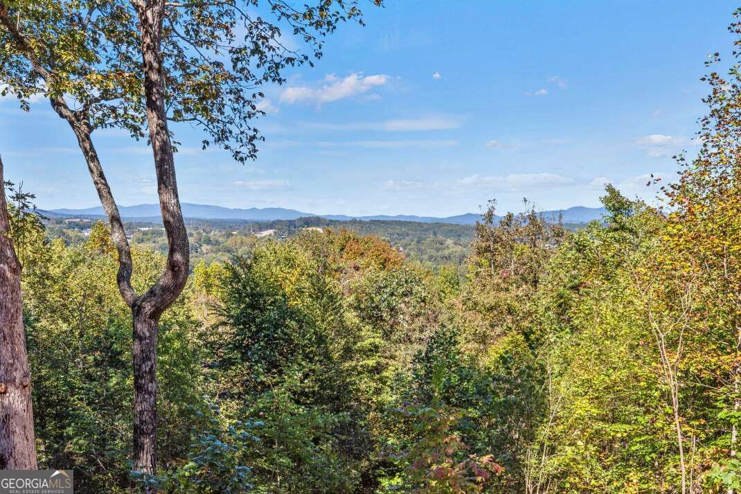 279 High Point Trail, Blue Ridge, GA 30513 — photo 3